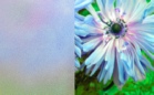 ornament_decormat_float_matowy_satinato_lightbox.jpg