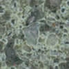 verde alga.jpg