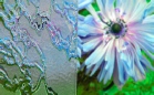 ornament_delta_matowy_lightbox.jpg