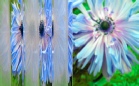 ornament_flutes_reeded_piaskowany_lightbox.jpg