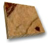 rain forest brown.jpg