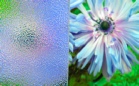 ornament_crepi_bezbarwny_lightbox.jpg