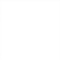 bialylightbox.jpg