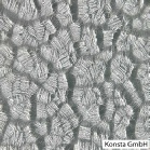 ornament_kocie_lapki_bezbarwnaa.jpg