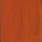sapelli2.jpg