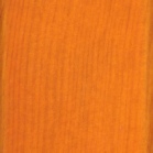 iroko2.jpg