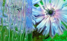 ornament_niagara_bezbarwny_lightbox.jpg