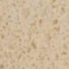 beige arena.jpg