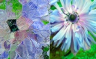 ornament_atlantic_kocie_lapki_bezbarwny_lightbox.jpg