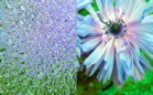 ornament_waterdrop_bezbarwny_lightbox.jpg